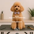 Load image into Gallery viewer, Home Grooming - PAWS
