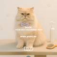 Load image into Gallery viewer, Home Grooming - PAWS
