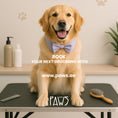 Load image into Gallery viewer, Home Grooming - PAWS
