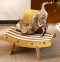 Load image into Gallery viewer, Dandruff Scratcher - PAWS
