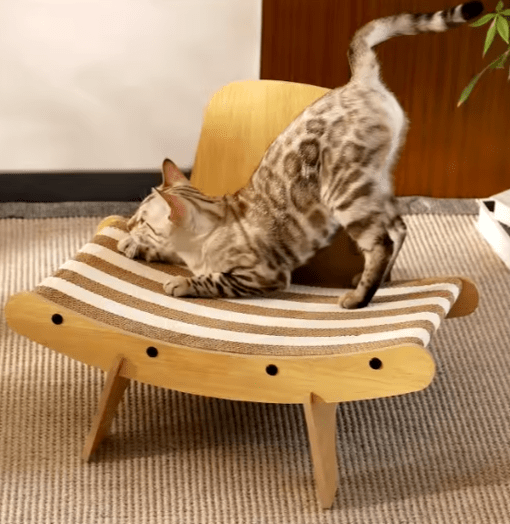 Dandruff Scratcher - PAWS