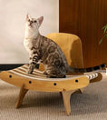 Load image into Gallery viewer, Dandruff Scratcher - PAWS
