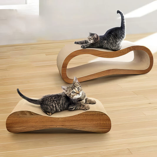 2 in 1 Cat Scratching Board - PAWS