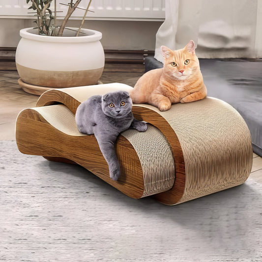 2 in 1 Cat Scratching Board - PAWS