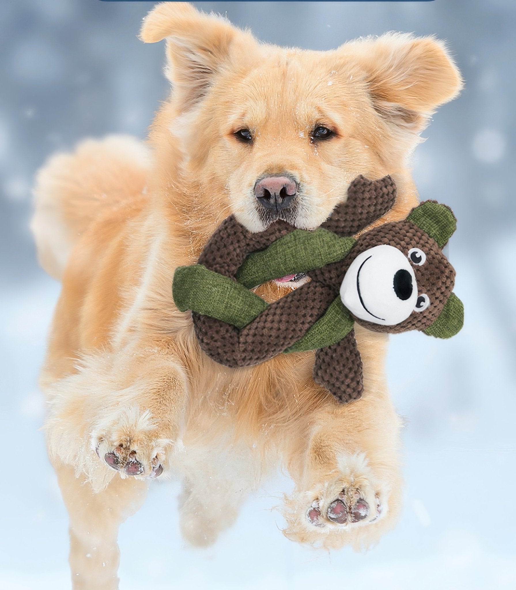 Bear Toy - PAWS
