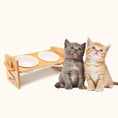 Load image into Gallery viewer, Bowllift - PAWS
