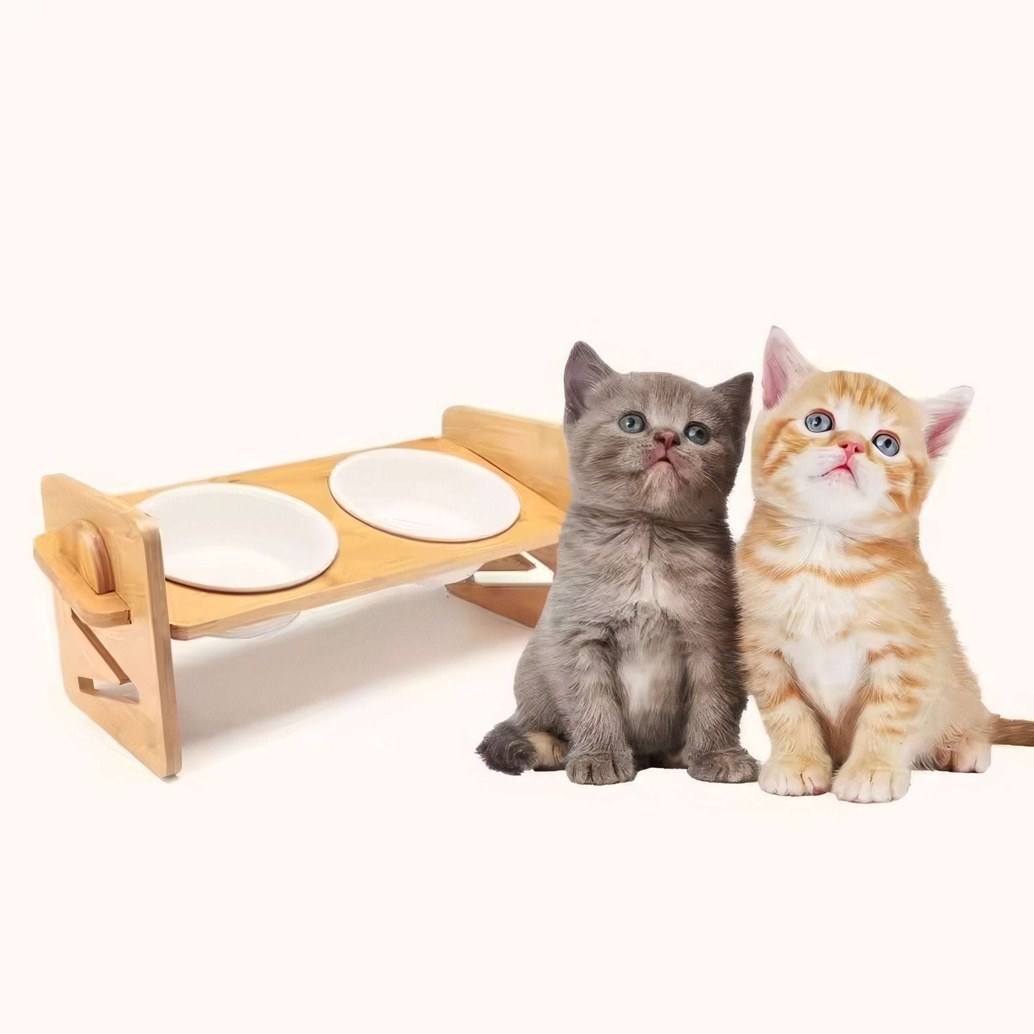 Bowllift - PAWS