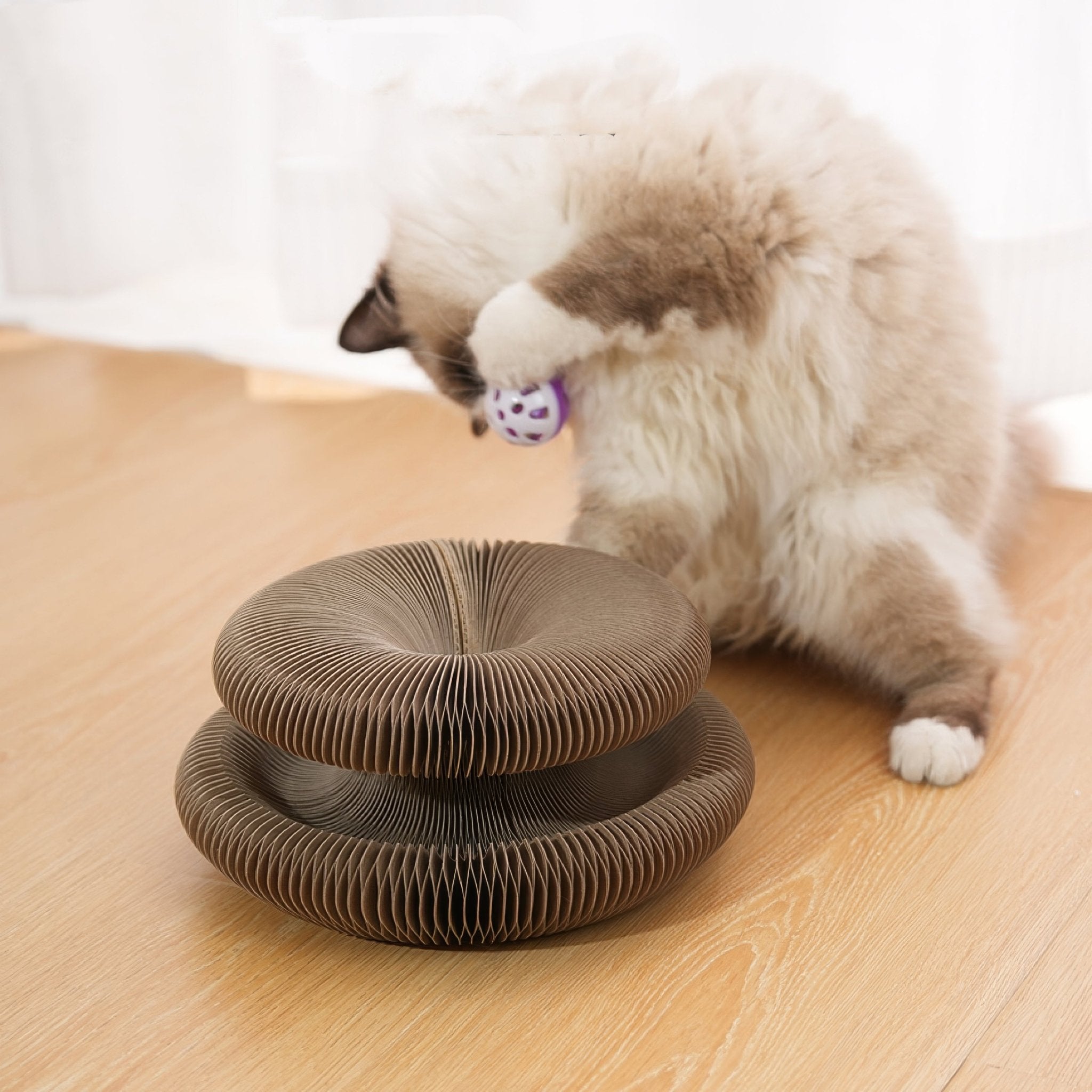 Cat scratching board - comes - PAWS