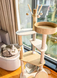 Load image into Gallery viewer, Cat tree Tower - PAWS

