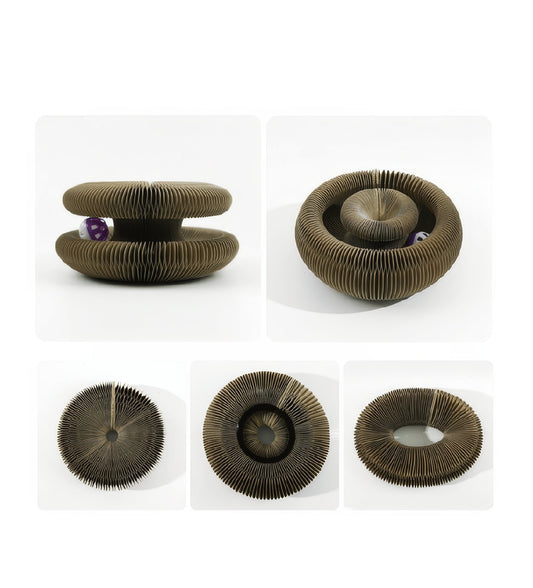 Cat scratching board - comes - PAWS