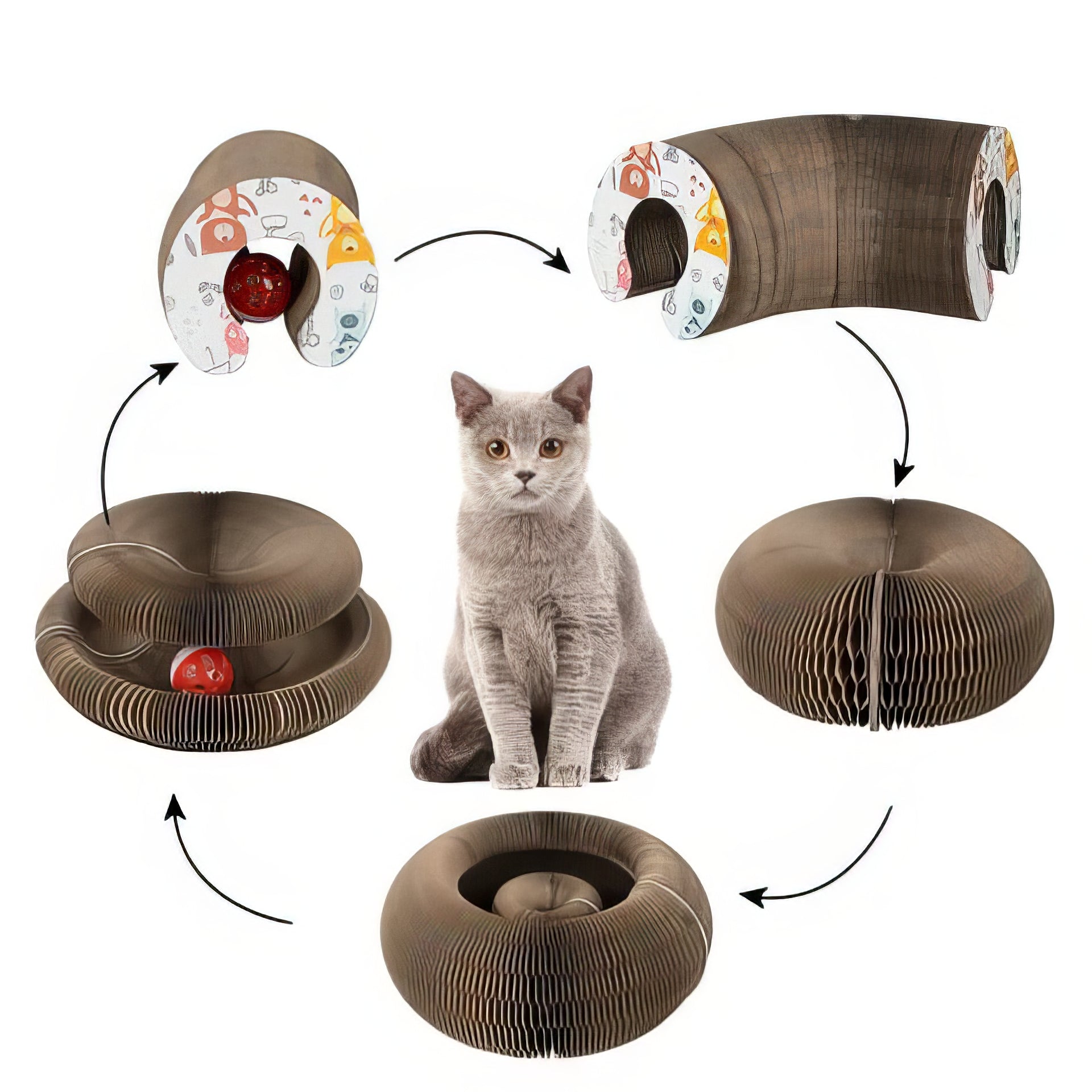 Cat scratching board - comes - PAWS