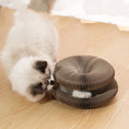 Load image into Gallery viewer, Cat scratching board - comes - PAWS

