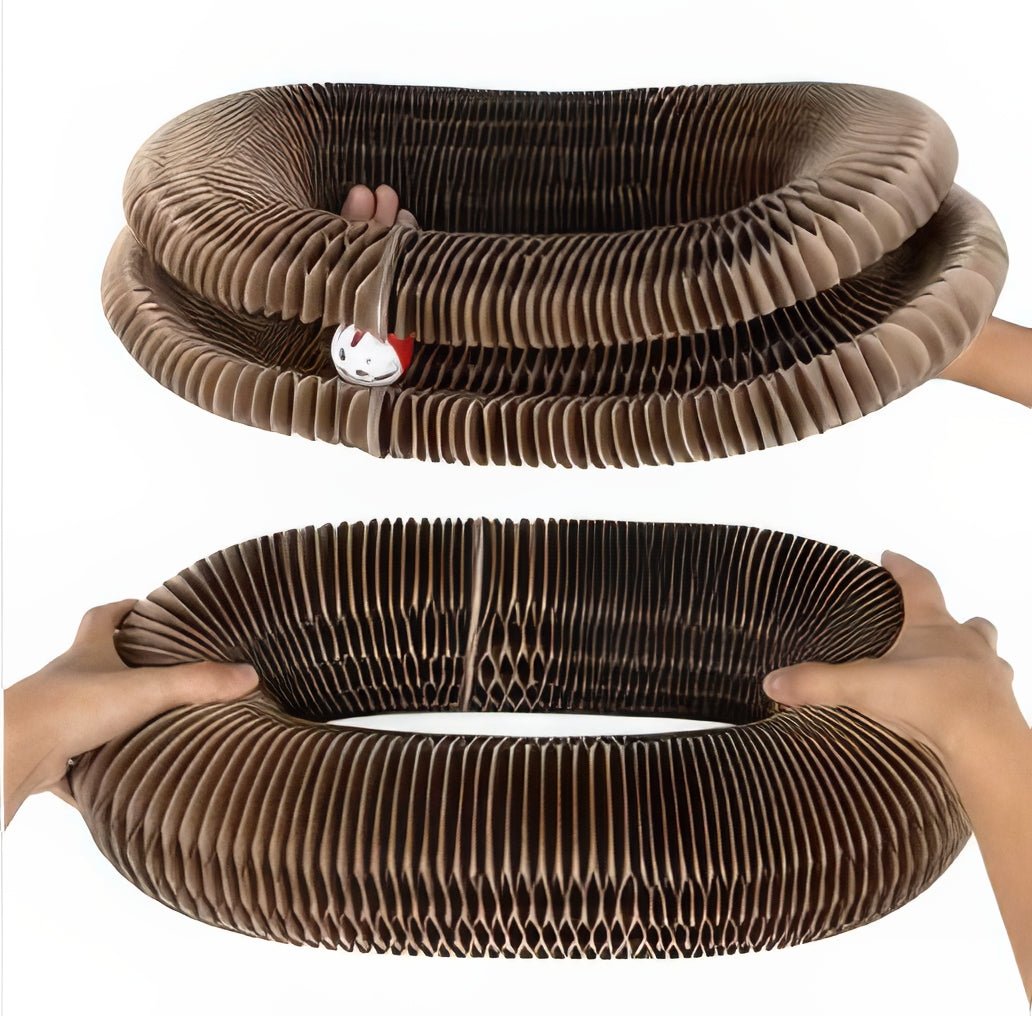Cat scratching board - comes - PAWS