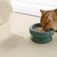 Load image into Gallery viewer, Ceramic Bowl - PAWS
