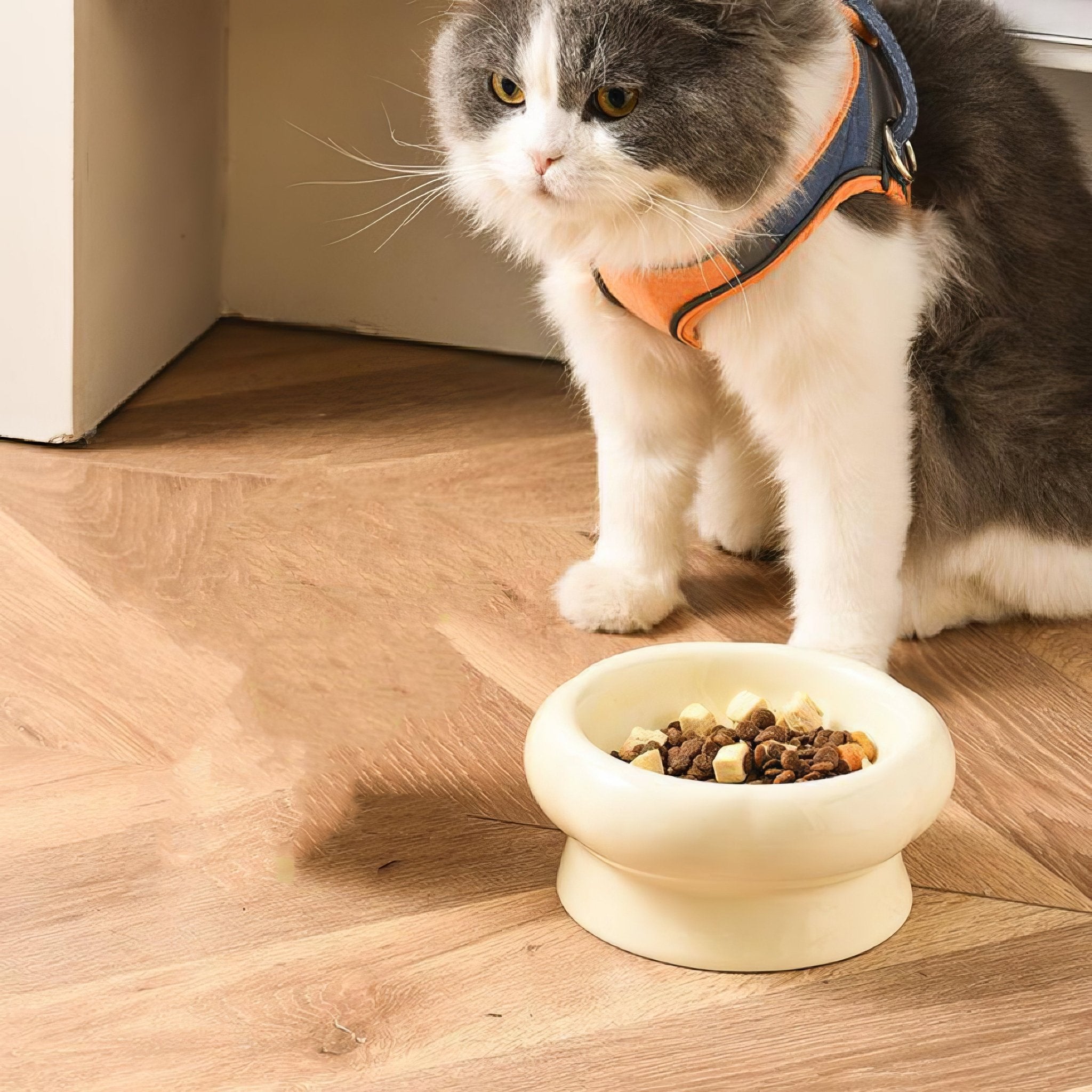 Ceramic Bowl - PAWS