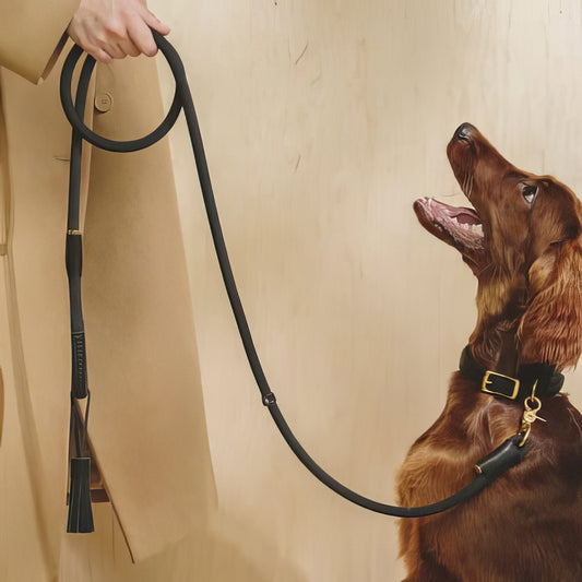 Dog Leash Pony - PAWS
