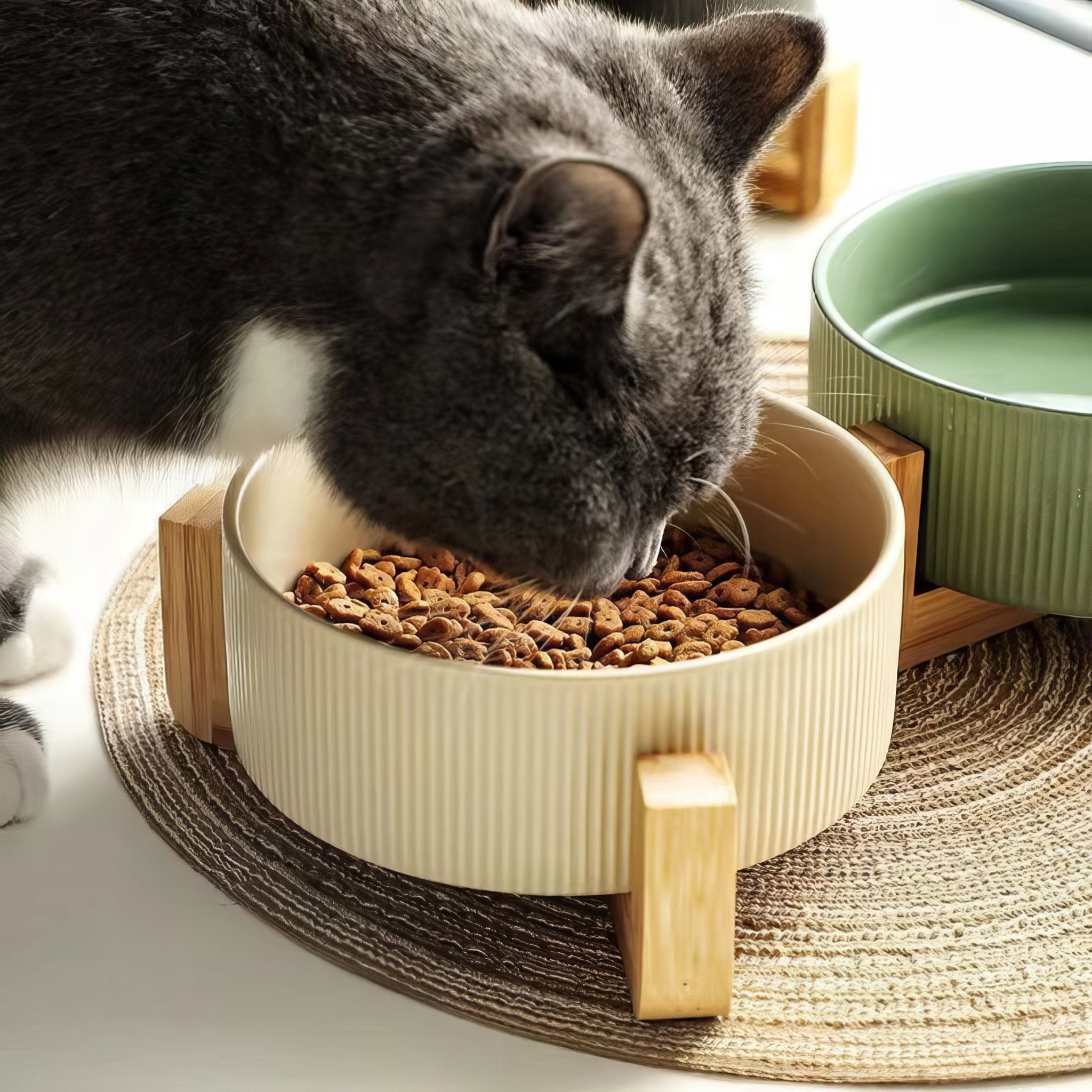 Grainwave Bowl - PAWS