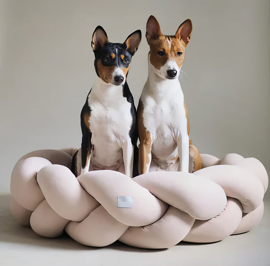 Handwoven Pet Nest - PAWS