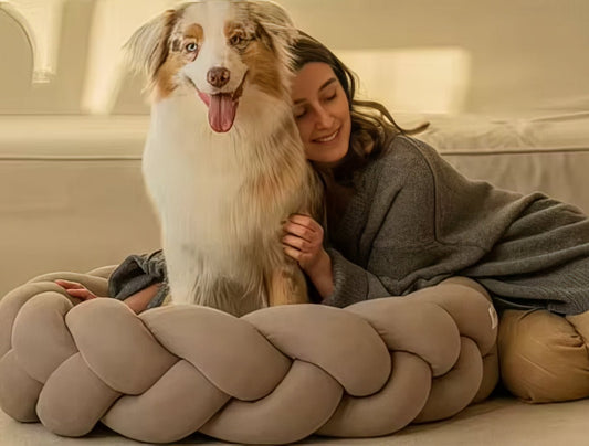 Handwoven Pet Nest - PAWS