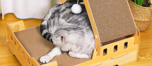 Indoor Cat Scratching Board - PAWS