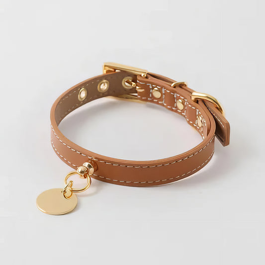 Leather Charm Collar - PAWS