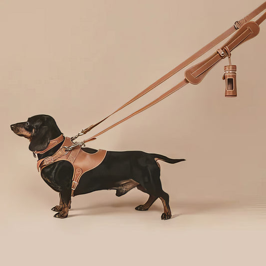 Leather Dog Leash - PAWS