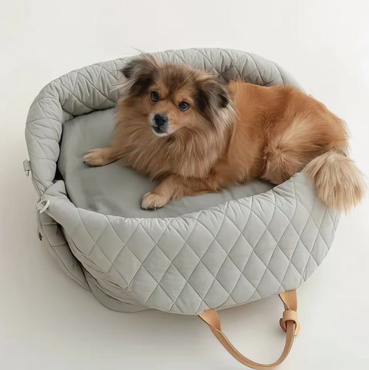 Mat Pet Seat - PAWS