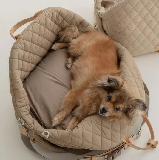 Mat Pet Seat - PAWS