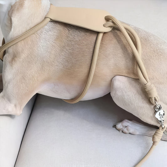 Minimal Rope Dog Harness - PAWS