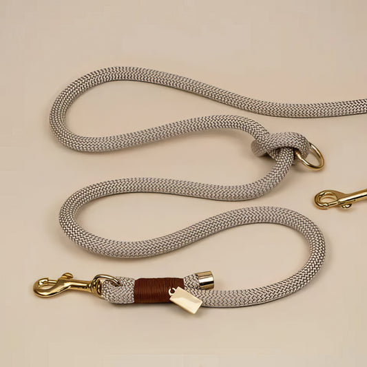 Premium Collar and Leash set - PAWS