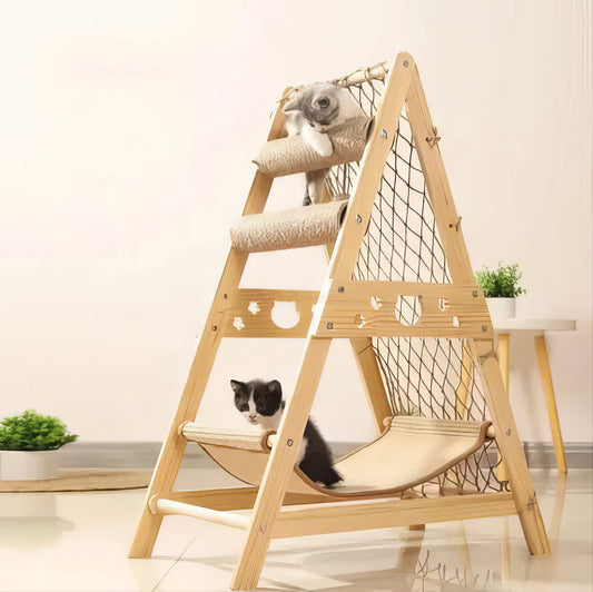 Triangle Scratcher - PAWS