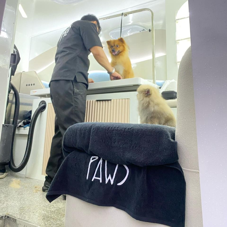 Home Grooming - PAWS
