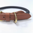 Load image into Gallery viewer, Rope Collar And Leash Set - PAWS
