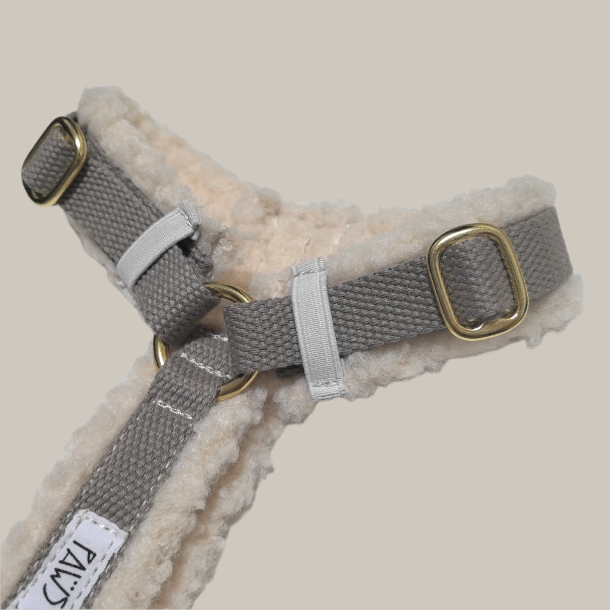 Teddy Dog Harness - PAWS
